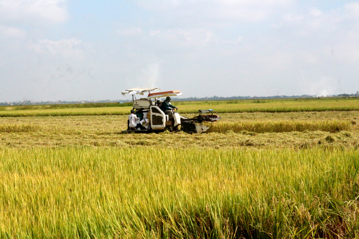 khí nito tinh khiết